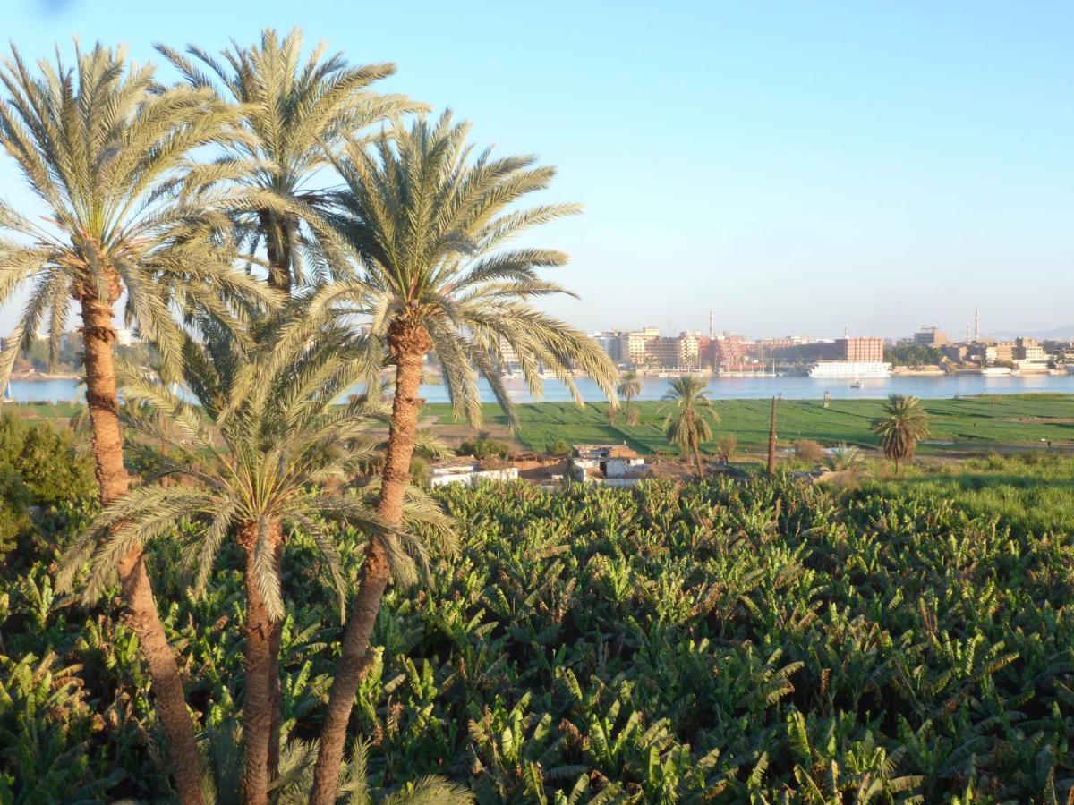 Dream Island Hotel Luxor Exterior foto